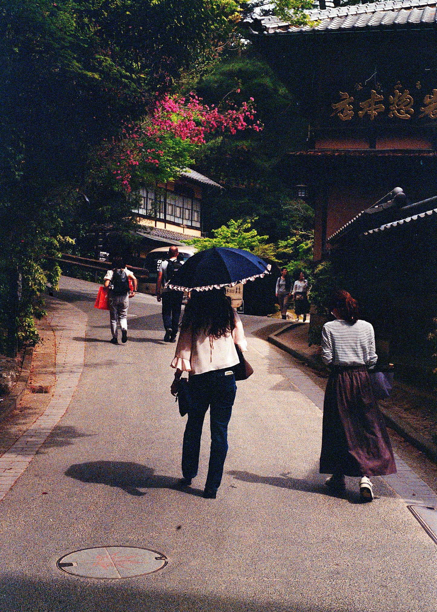 STROLLING ON MIYAJIMA ISLAND